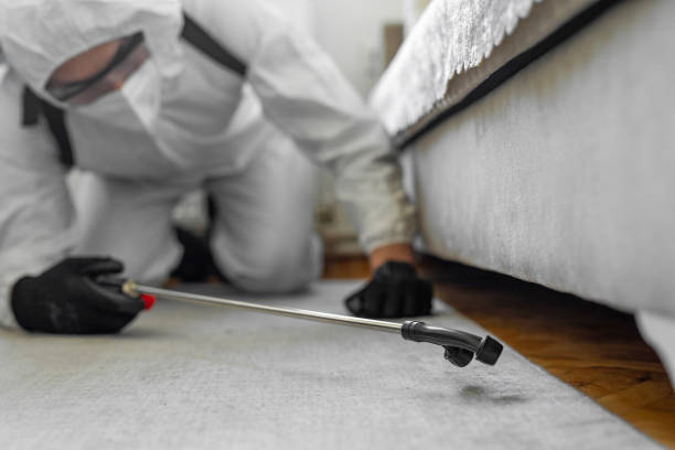 Professional Termite Control technician working in Deer Park, NY