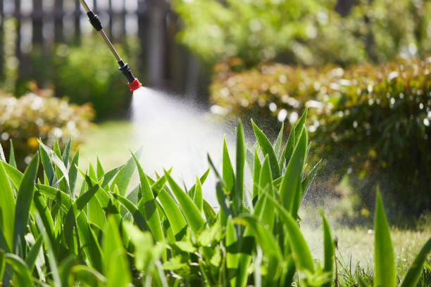 24/7 Emergency Termite Control experts in Deer Park, NY