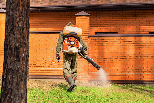 Trusted Cockroach Control service in Deer Park, NY - Nex Pest Control